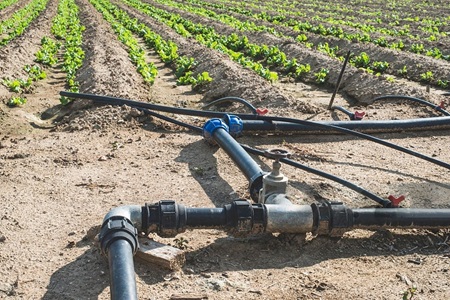 Irrigation System Installation – Franschhoek Estate post thumbnail